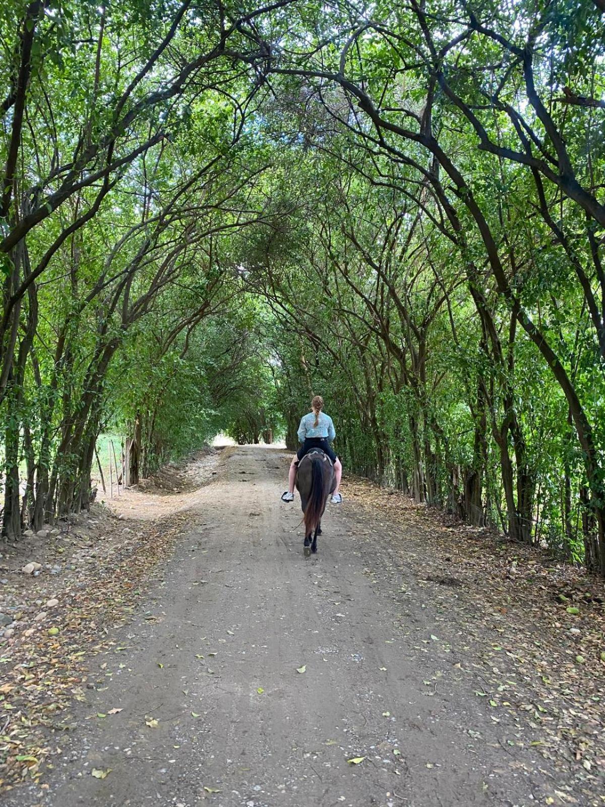 Finca Ecoturistica Los Jagueyes Baraya Exteriér fotografie