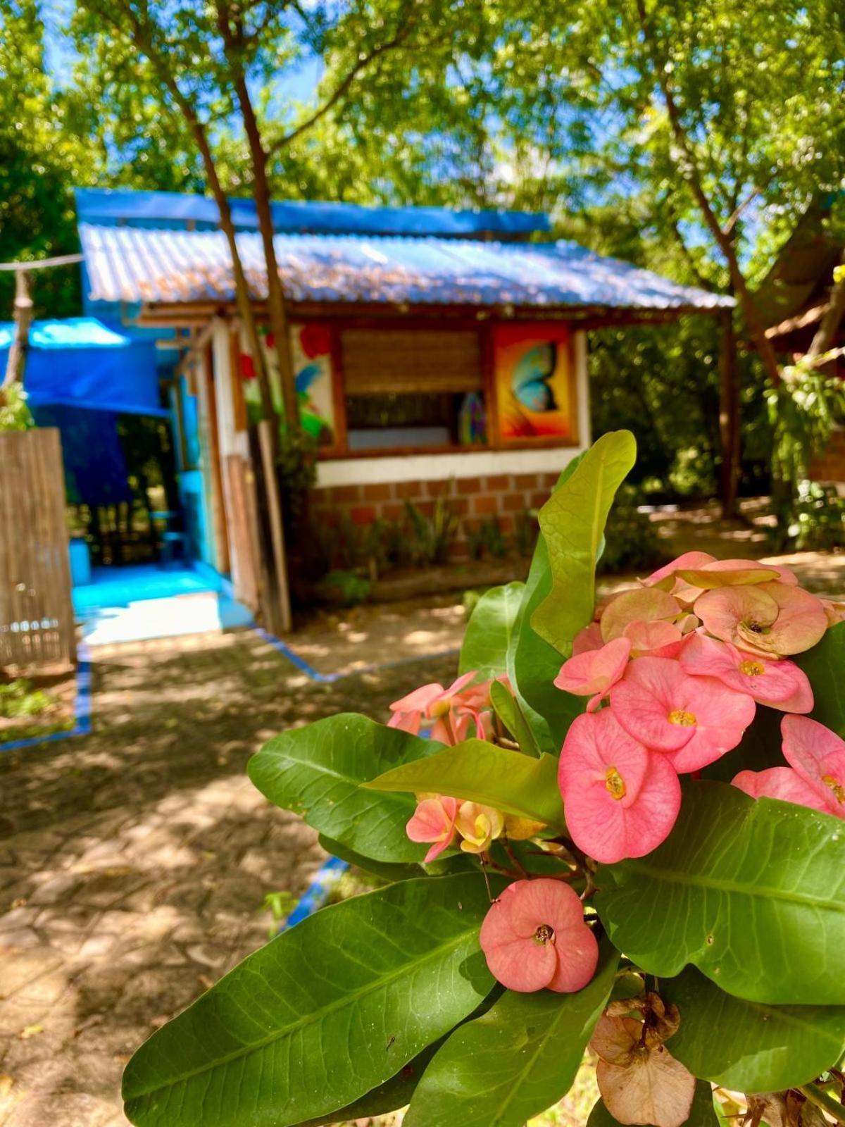 Finca Ecoturistica Los Jagueyes Baraya Exteriér fotografie